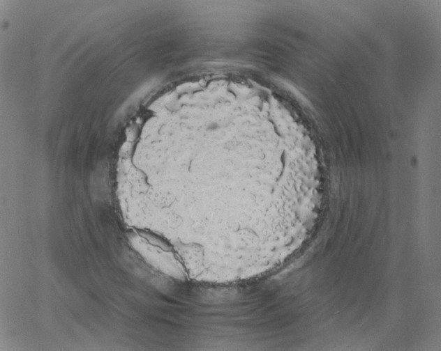 X0000062901403200602101755