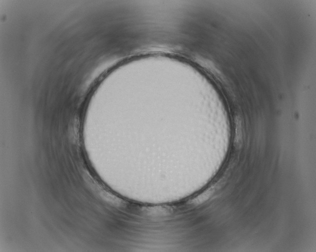 X0000062901404200602101755