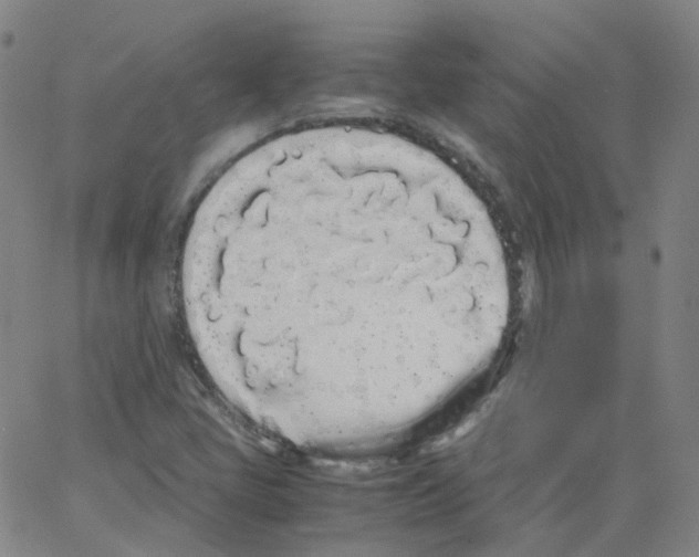 X0000062901405200602101755