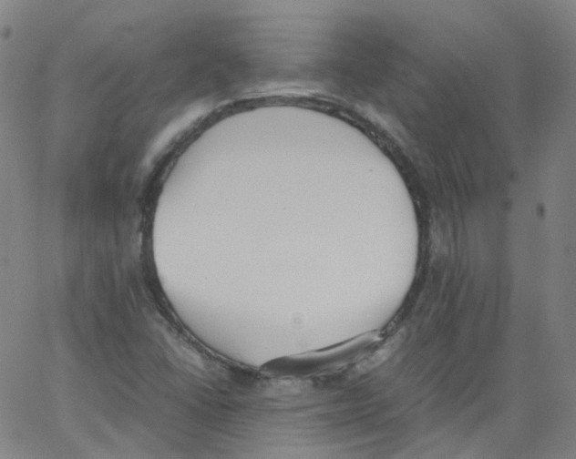 X0000062901406200602101755