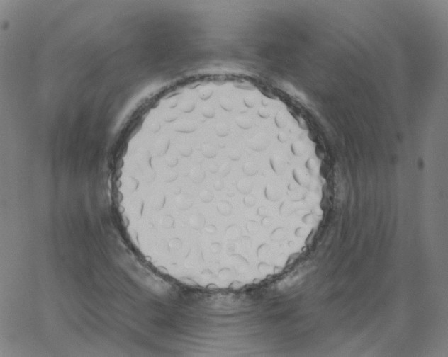 X0000062901408200602101755