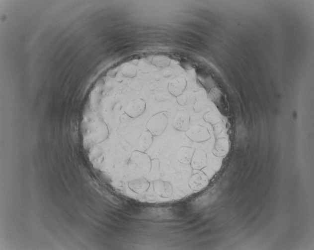 X0000062901409200602101755