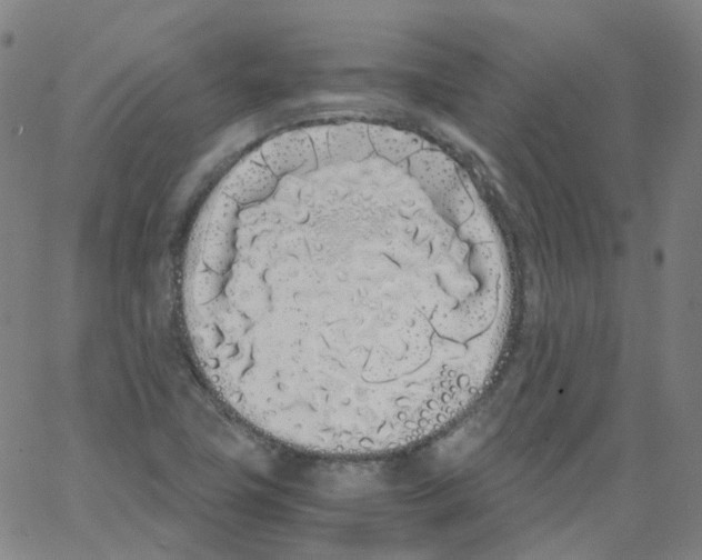 X0000062901411200602101755