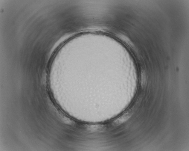 X0000062901412200602101755