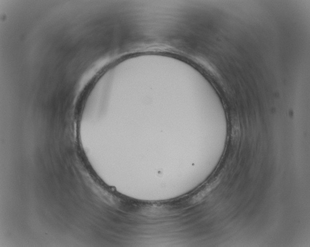 X0000062901414200602101755