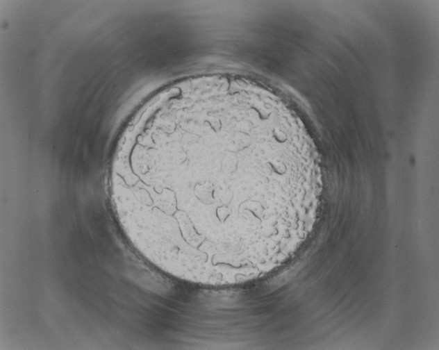 X0000062901415200602101755