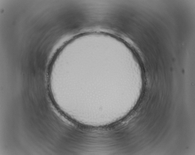 X0000062901416200602101755