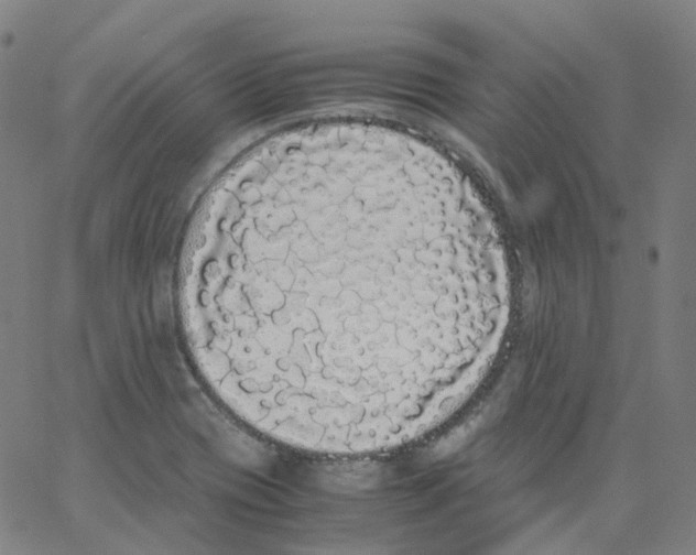 X0000062901417200602101755