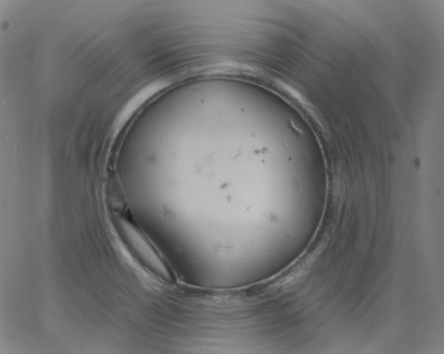 X0000062901418200602101755