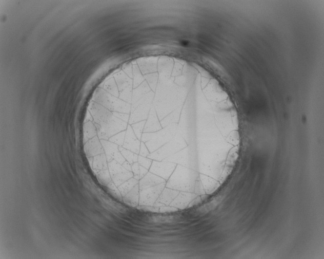 X0000062901419200602101755