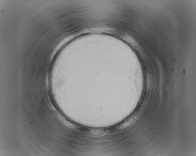 X0000062901420200602101755