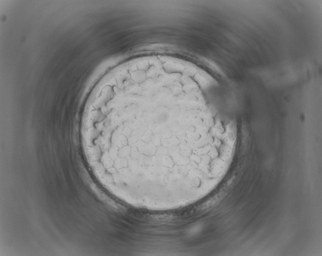 X0000062901421200602101755