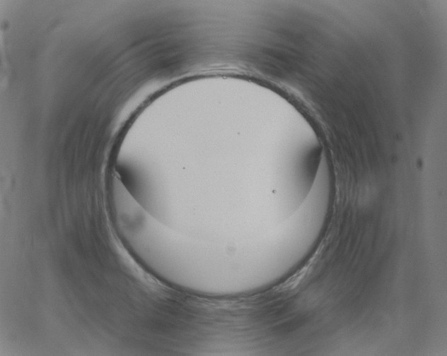 X0000062901422200602101755