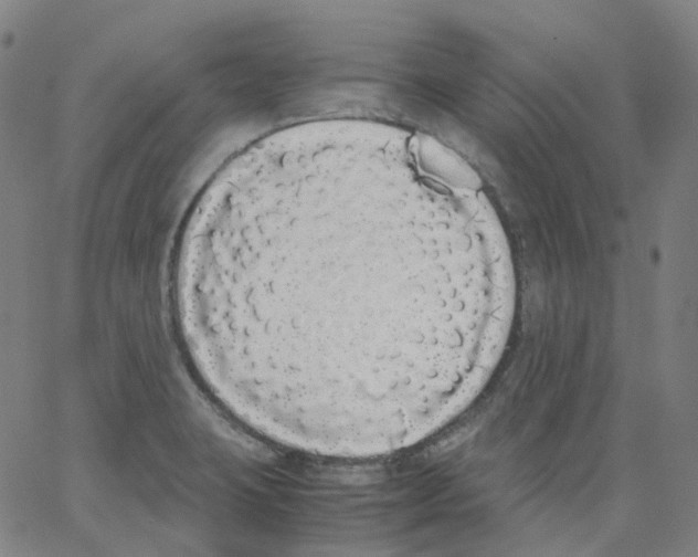 X0000062901423200602101755