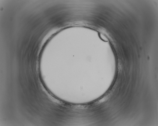 X0000062901424200602101755