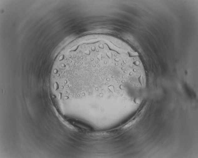 X0000062901425200602101755