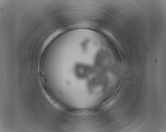 X0000062901426200602101755