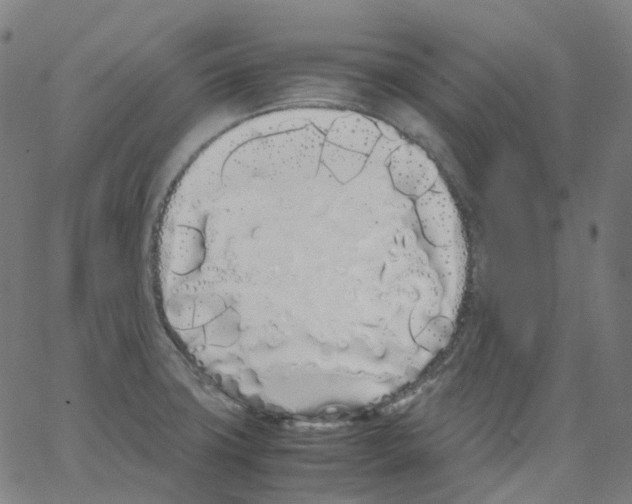 X0000062901427200602101755