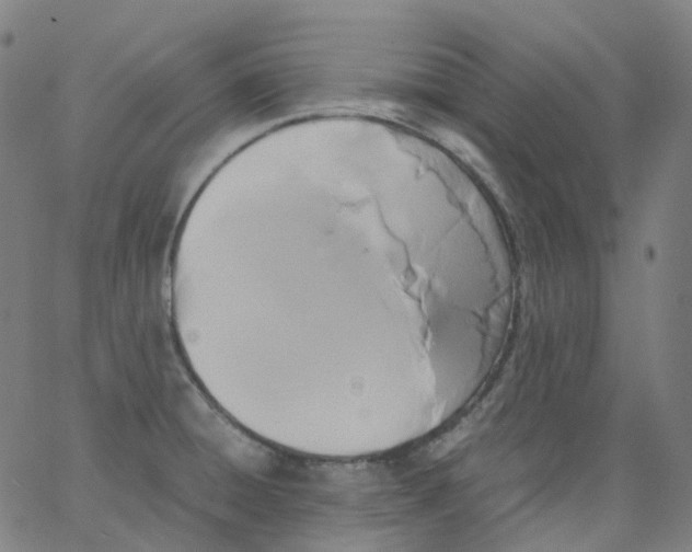 X0000062901428200602101755