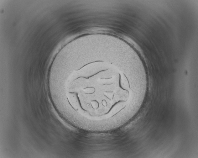 X0000062901429200602101755