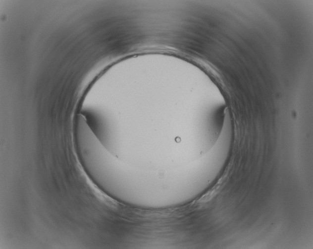 X0000062901430200602101755