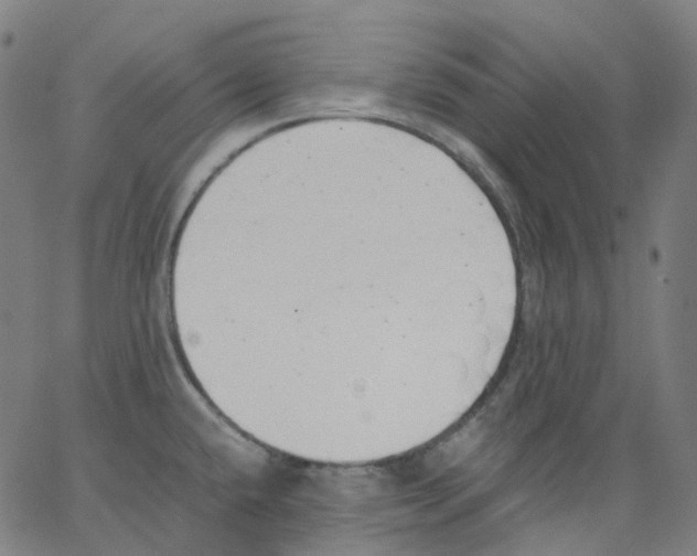 X0000062901432200602101755