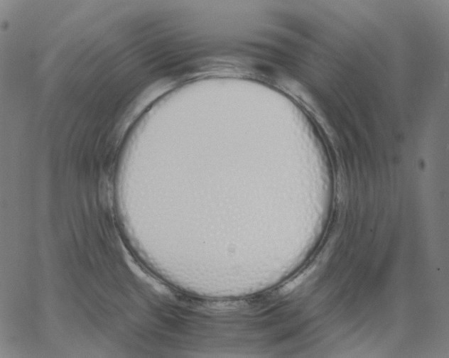 X0000062901433200602101755