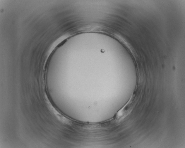 X0000062901434200602101755