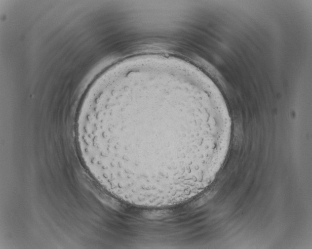 X0000062901435200602101755