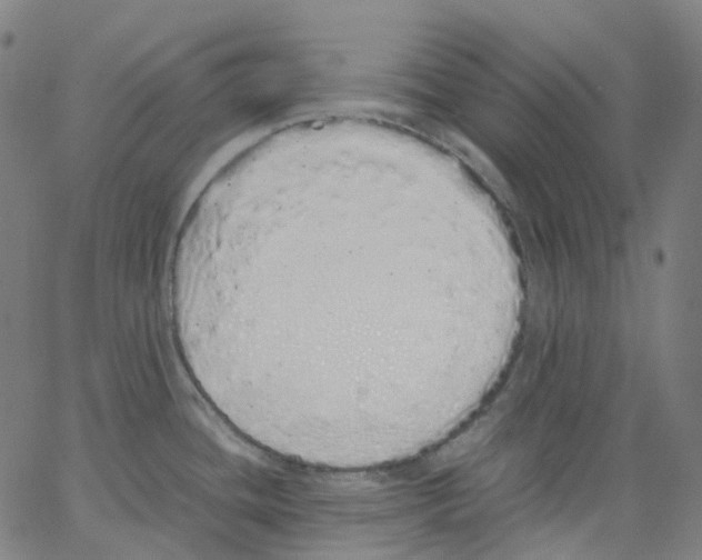 X0000062901436200602101756