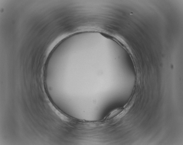 X0000062901438200602101756