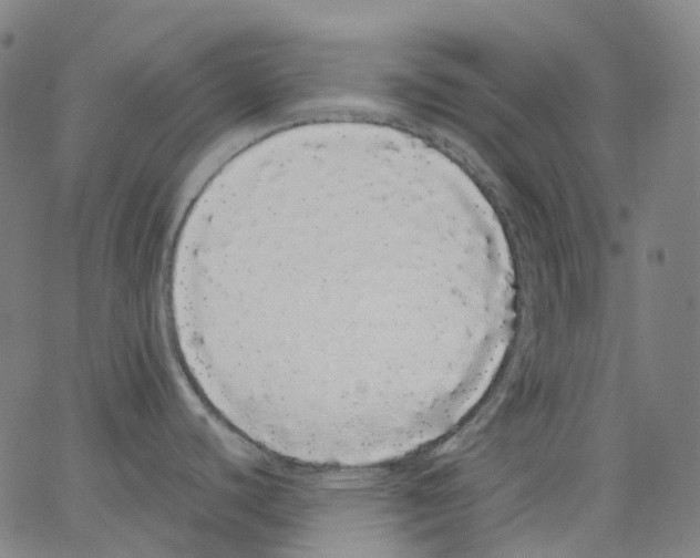 X0000062901440200602101756