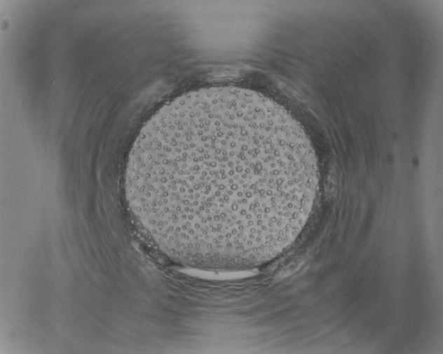 X0000062901441200602101755