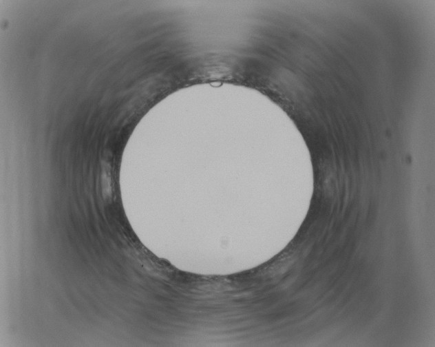 X0000062901442200602101755