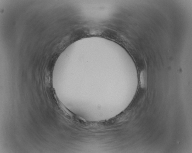 X0000062901443200602101755