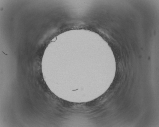 X0000062901447200602101755