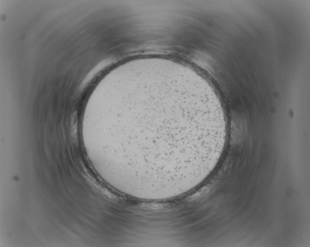 X0000062901450200602101755