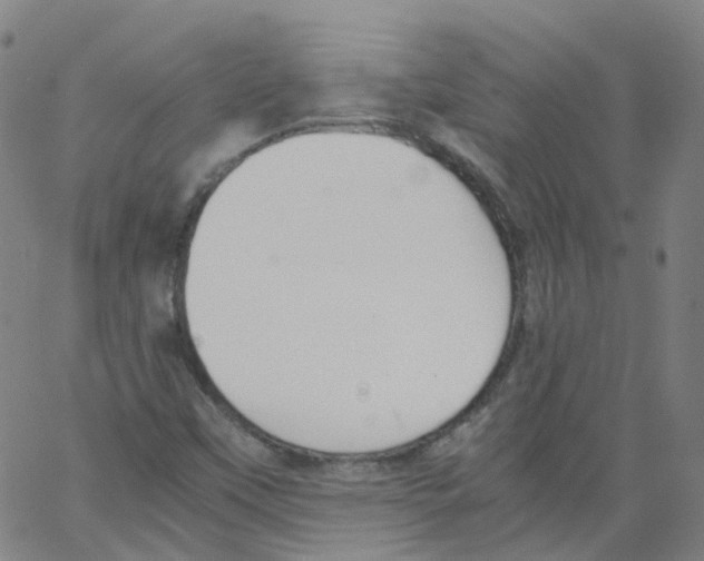 X0000062901451200602101755