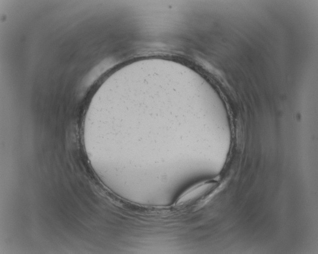 X0000062901453200602101755