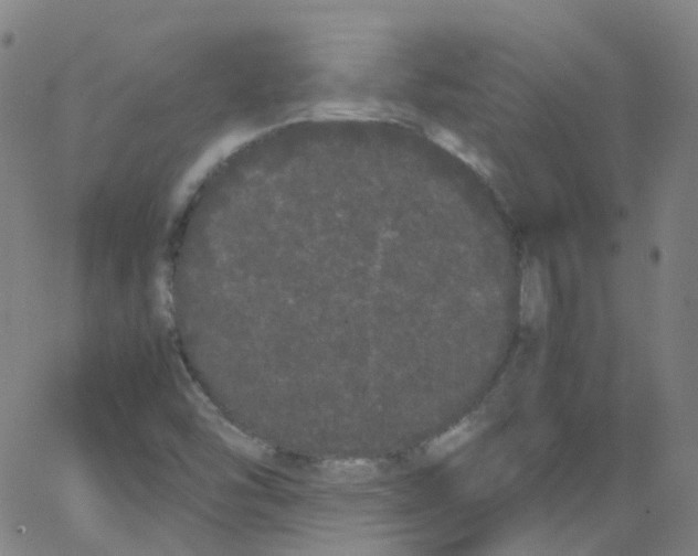 X0000062901454200602101755