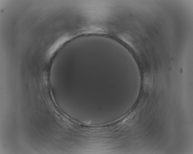 X0000062901455200602101755