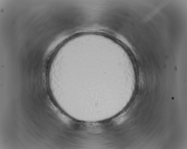 X0000062901456200602101755