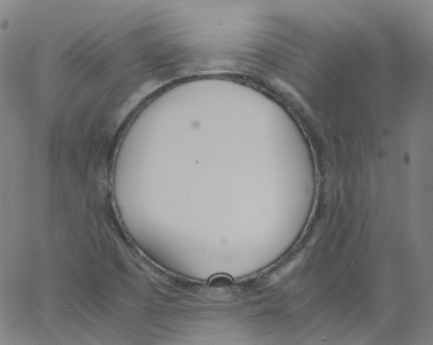 X0000062901457200602101755