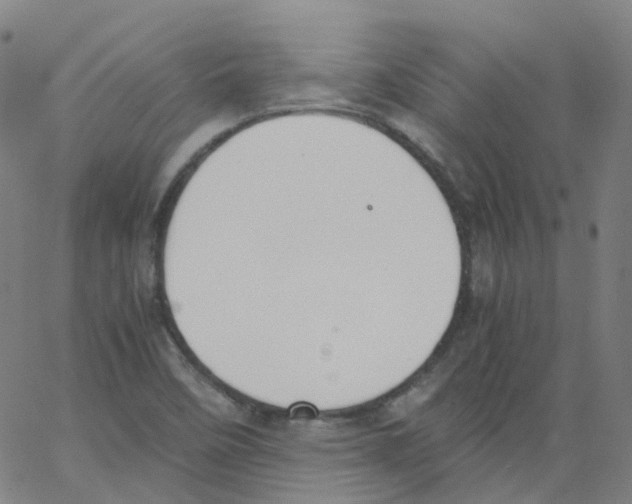 X0000062901458200602101755