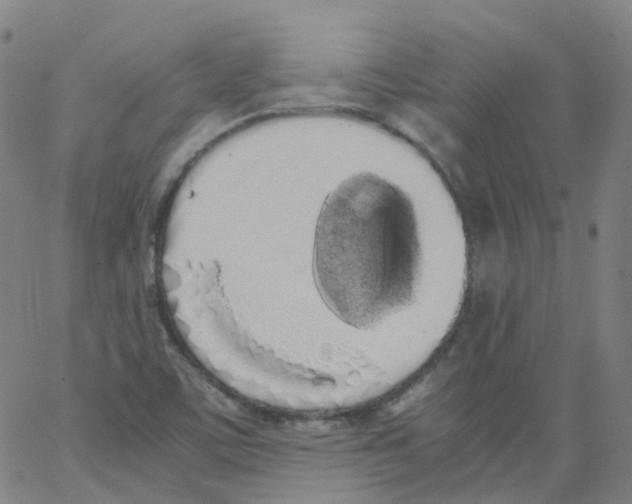 X0000062901459200602101755