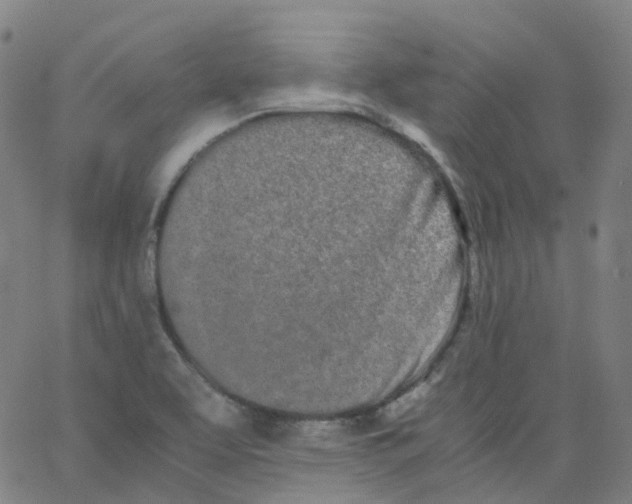 X0000062901463200602101754