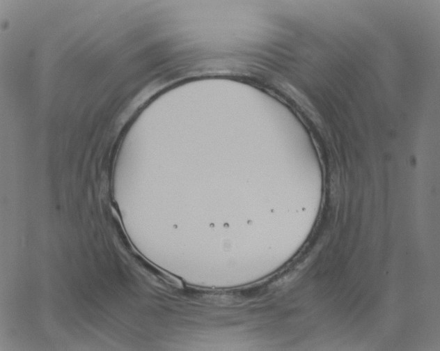 X0000062901465200602101754