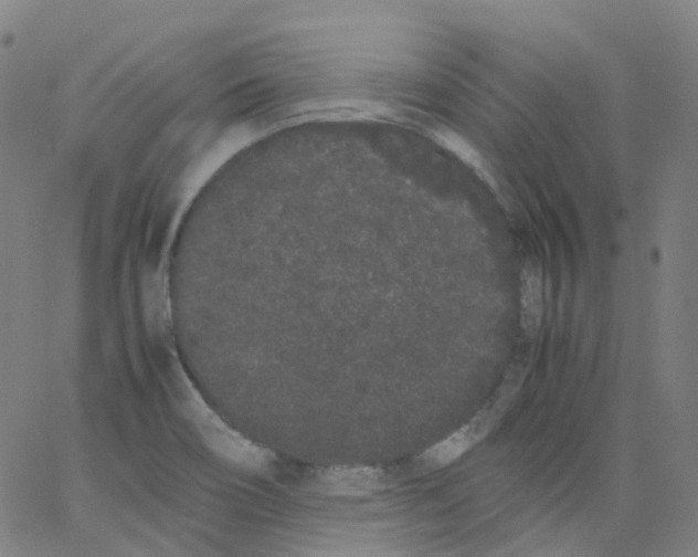 X0000062901466200602101754