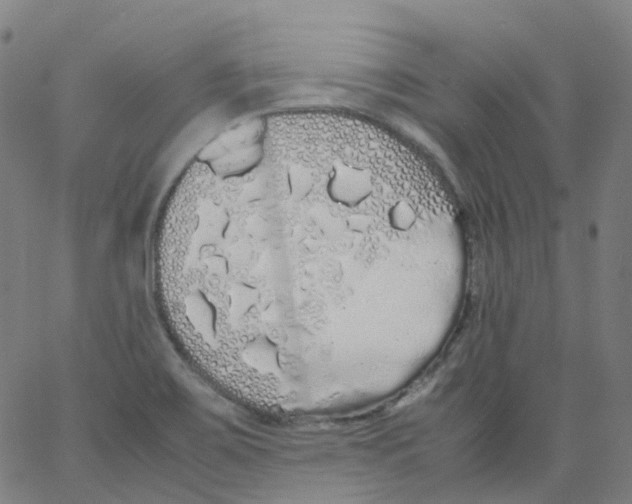 X0000062901467200602101754