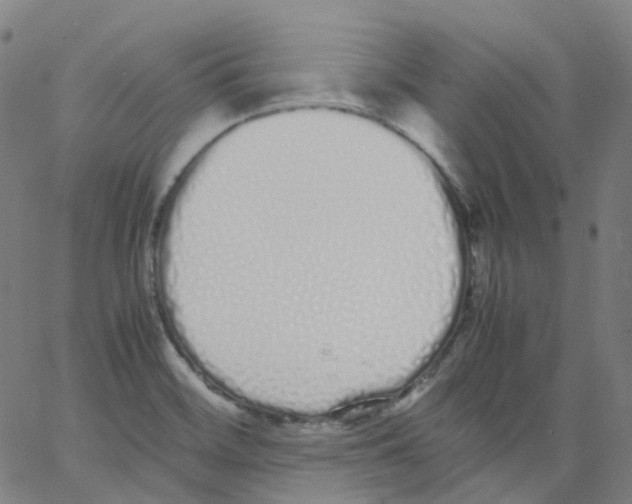 X0000062901468200602101754